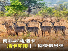 南非电话卡